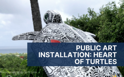 The HeART of Turtles Art Installation