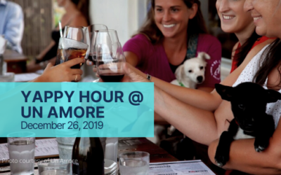 Yappy Hour Thursdays