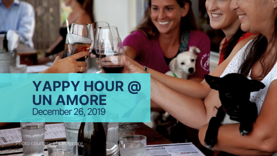 Yappy Hour Thursdays