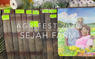 STX AgriFest 2020: Sejah Farm