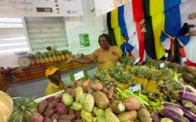 STX AgriFest 2020: Antiqua & Barbuda Exhibitors