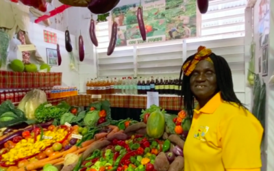 STX AgriFest 2020: Thompson Family Farm & Nevis Growers Co-operatize