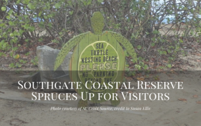 Southgate Coastal Reserve Spruces Up for Visitors