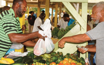 Buy and Eat at St. Croix’s Farmer’s Market