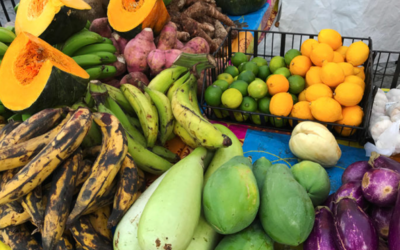 USVI Agriculture Plan: Supporting Local Farming