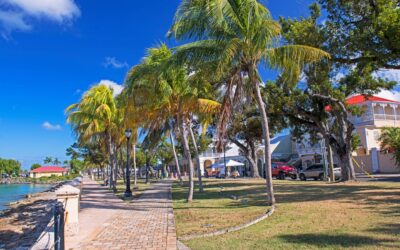 Reasons to Visit the US Virgin Islands