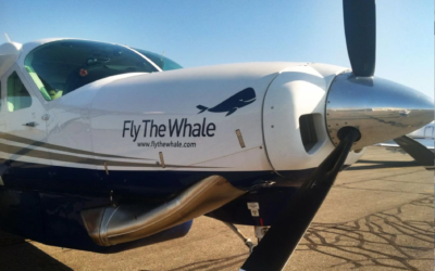 Fly the Whale Airlines Providing Inter-Island Flights