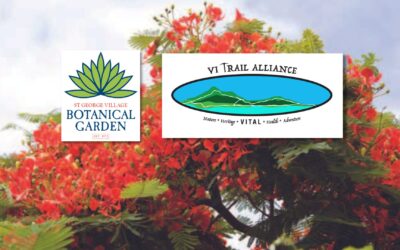 St. George Village Botanical Garden and V.I. Trail Alliance receive $2.5M grants
