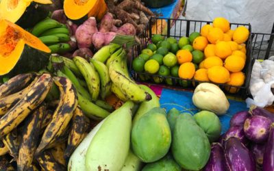 Virgin Islands Good Food’s Grant to Boost Local Agriculture