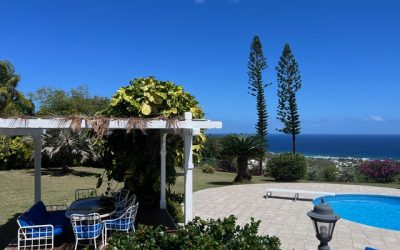 What advice do you have for maintaining an outdoor living space in the Caribbean climate?