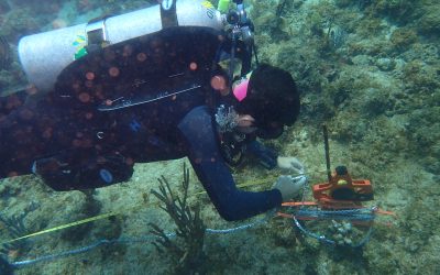 Understanding and protecting coral reefs around St Croix
